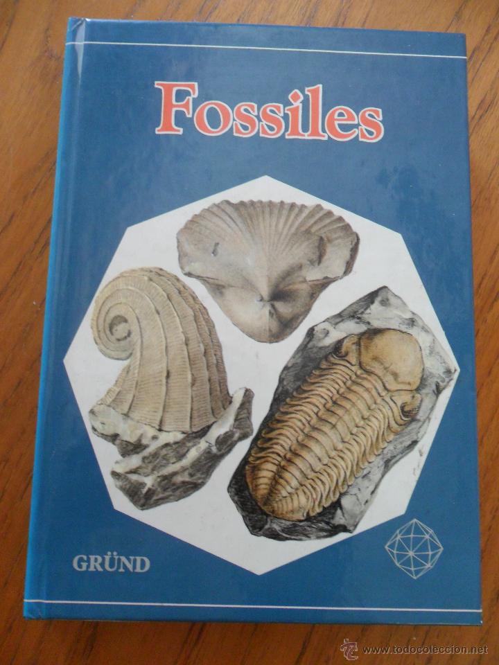 Libros de segunda mano: Fossiles. Rudolff Prokop. Ed. Gr&uuml;nd 1981 - Foto 1