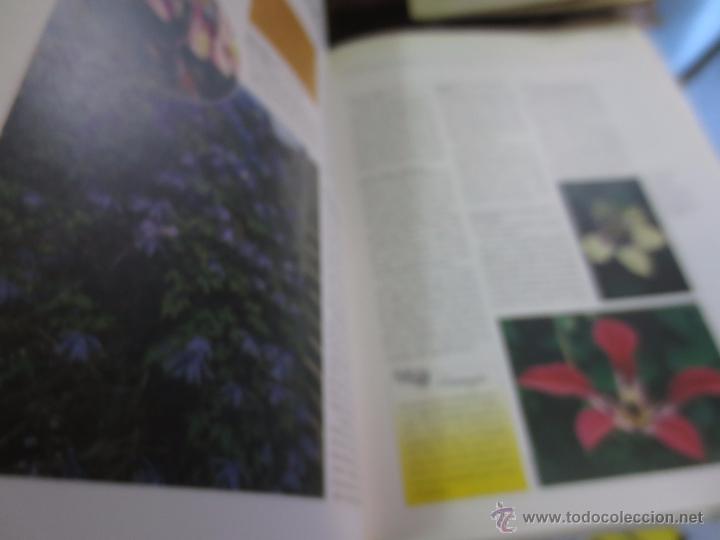 Libros de segunda mano: GRAN ATLAS DE LA JARDINER&Iacute;A EDIT LIBSA A&Ntilde;O 1997 - Foto 2