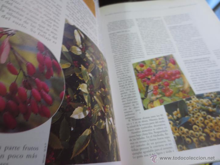 Libros de segunda mano: GRAN ATLAS DE LA JARDINER&Iacute;A EDIT LIBSA A&Ntilde;O 1997 - Foto 3