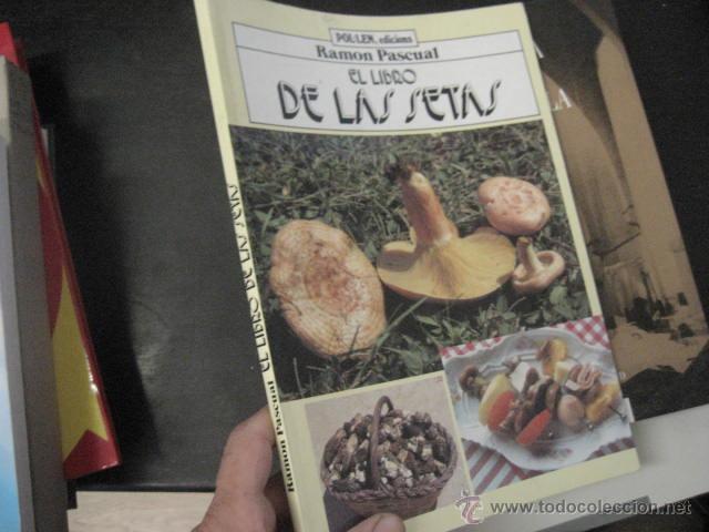 Libros de segunda mano: EL LIBRO DE LAS SETAS, RAMON PASCUAL, DESCRIPCION, RECETAS, - Foto 1
