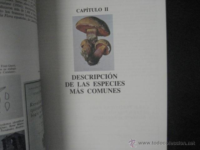 Libros de segunda mano: EL LIBRO DE LAS SETAS, RAMON PASCUAL, DESCRIPCION, RECETAS, - Foto 3