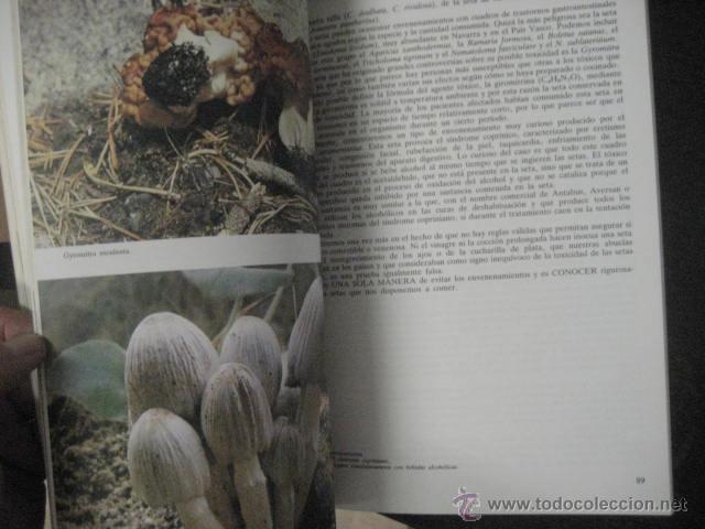 Libros de segunda mano: EL LIBRO DE LAS SETAS, RAMON PASCUAL, DESCRIPCION, RECETAS, - Foto 5