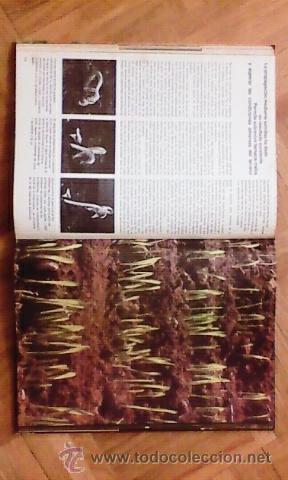 Libros de segunda mano: Plantas - Estructura, crecimiento, formas de vida. - Foto 5