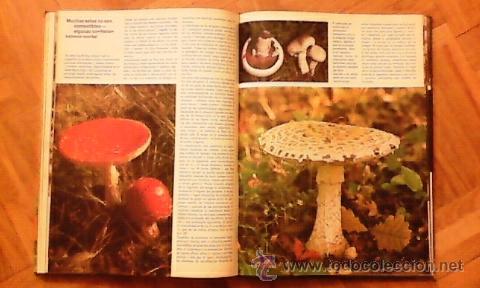 Libros de segunda mano: Plantas - Estructura, crecimiento, formas de vida. - Foto 6