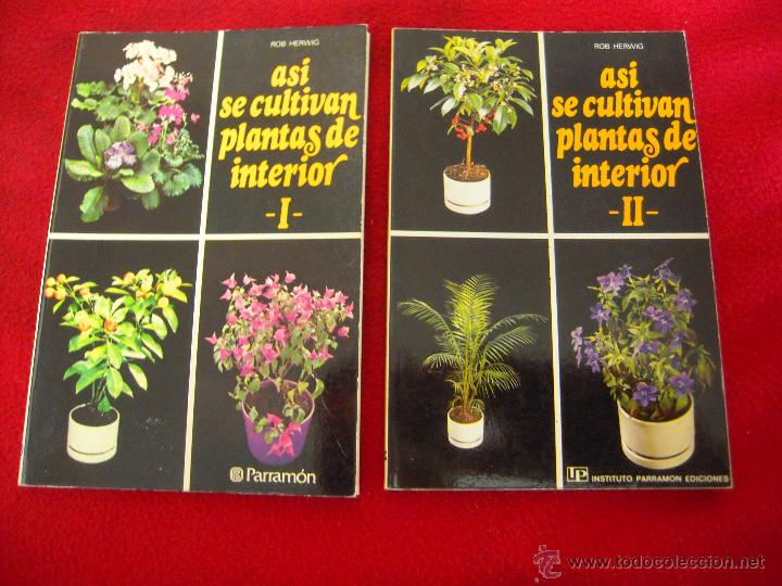Libros de segunda mano: ASI SE CULTIVAN PLANTAS DE INTERIOR 1 Y 2 - ROB HERWING - ED. PARRAMON - RUSTICA - Foto 1