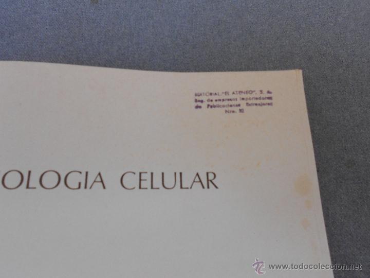 Libros de segunda mano: BIOLOGIA CELULAR - Foto 3