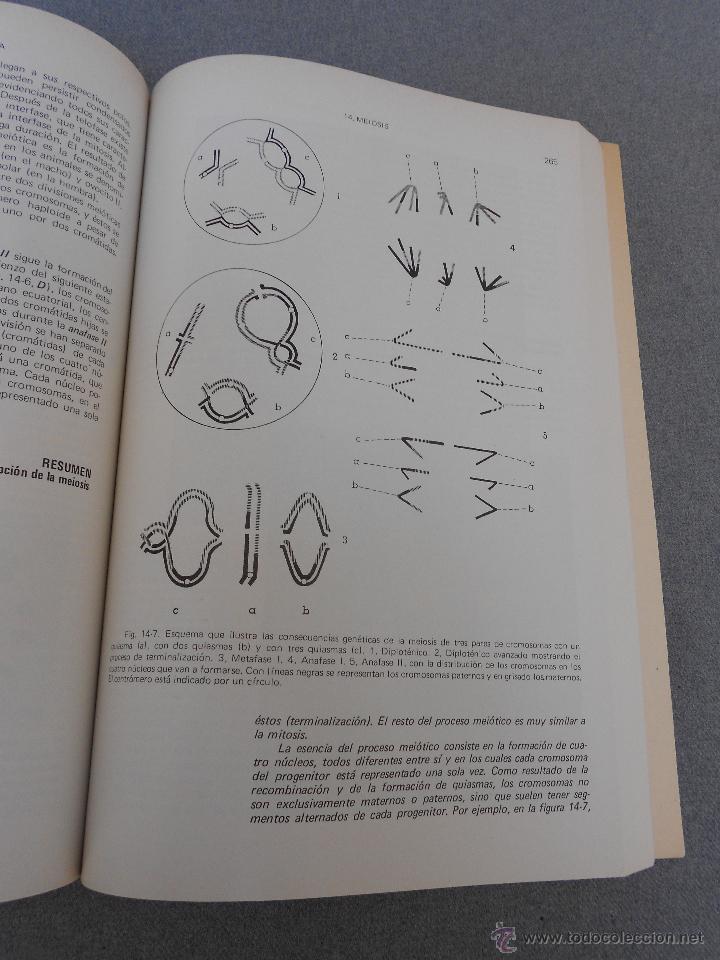 Libros de segunda mano: BIOLOGIA CELULAR - Foto 4