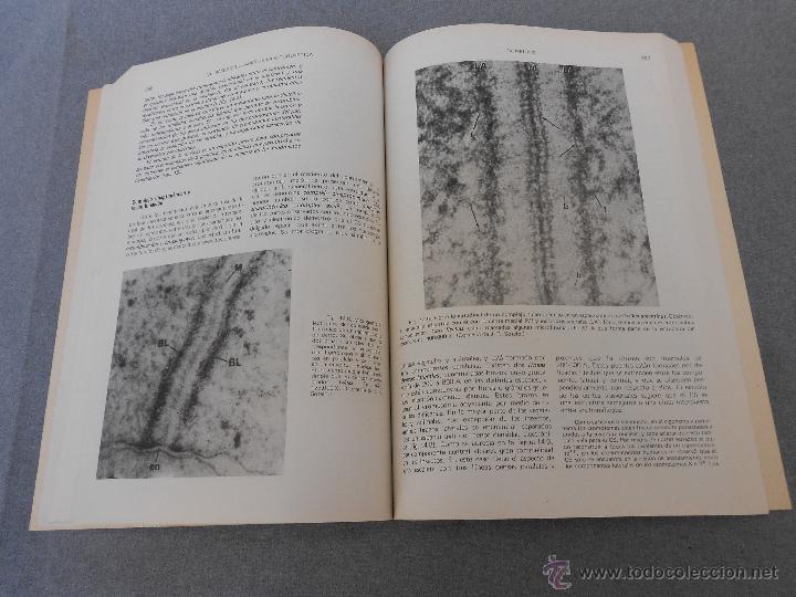 Libros de segunda mano: BIOLOGIA CELULAR - Foto 5