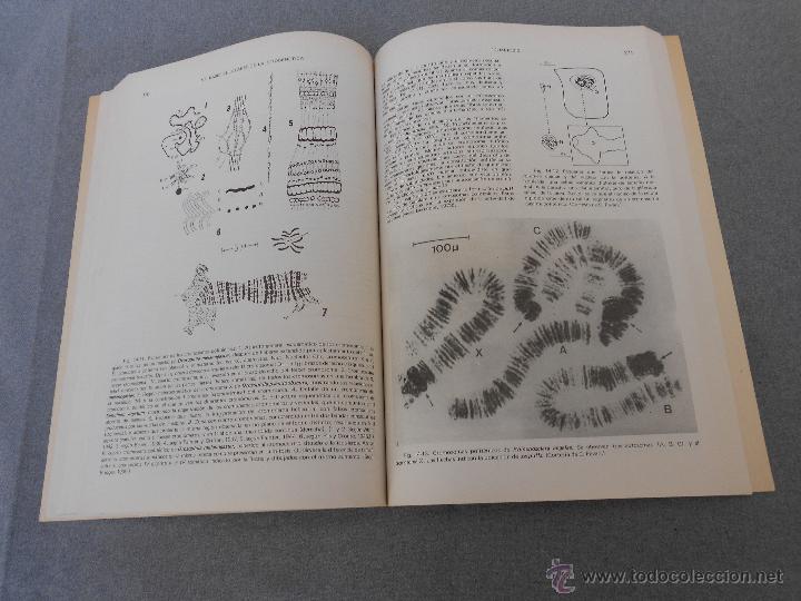 Libros de segunda mano: BIOLOGIA CELULAR - Foto 6