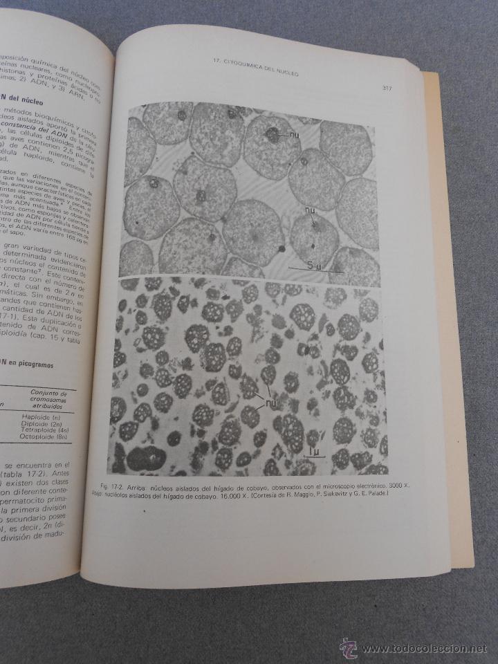 Libros de segunda mano: BIOLOGIA CELULAR - Foto 7