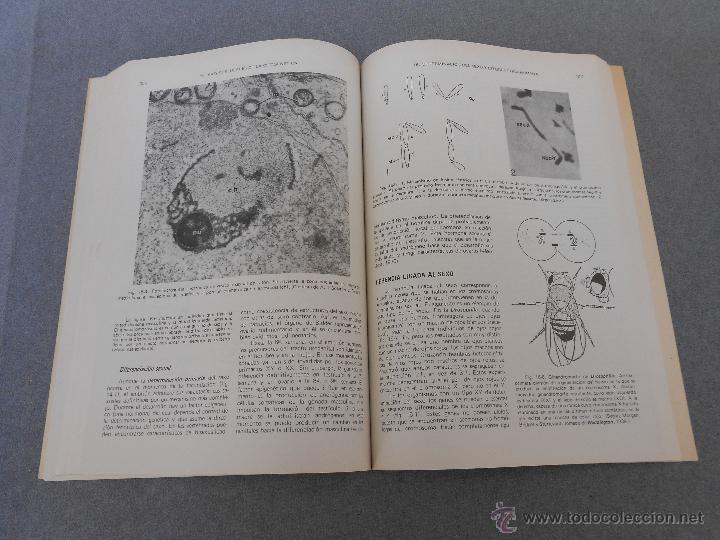 Libros de segunda mano: BIOLOGIA CELULAR - Foto 9