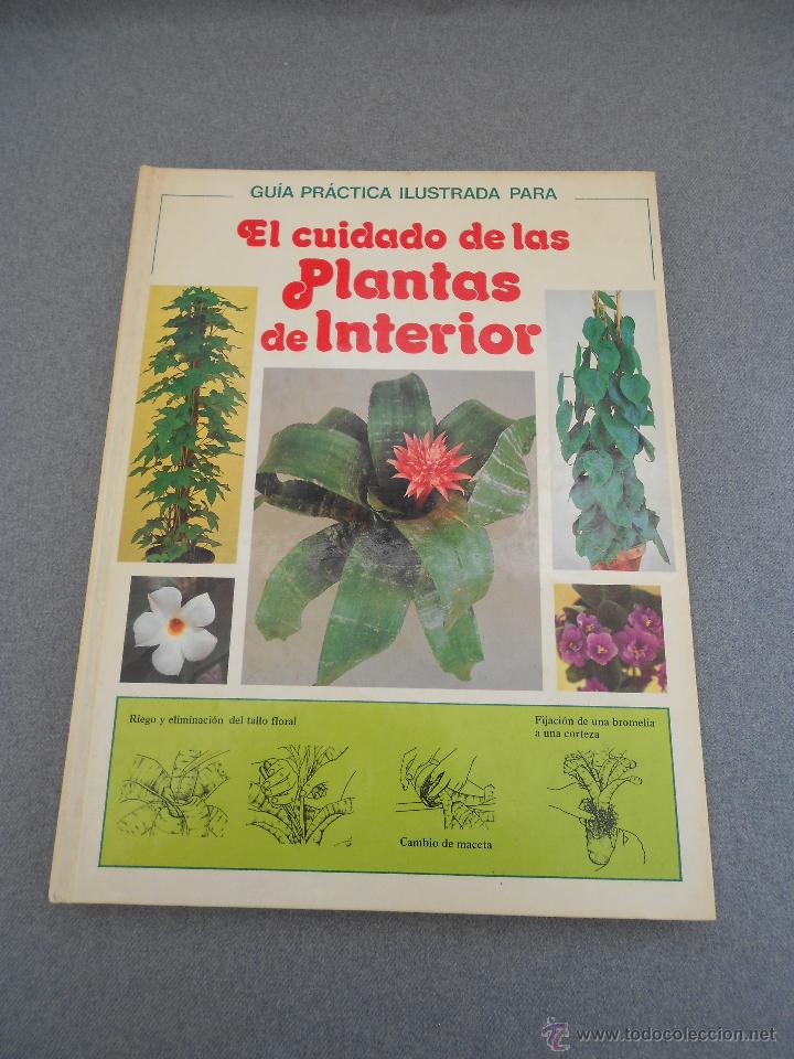 Libros de segunda mano: EL CUIDADO DE LAS PLANTAS DE INTERIOR - Foto 1