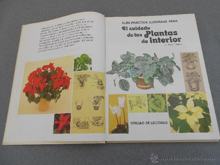 Libros de segunda mano: EL CUIDADO DE LAS PLANTAS DE INTERIOR - Foto 2