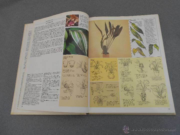 Libros de segunda mano: EL CUIDADO DE LAS PLANTAS DE INTERIOR - Foto 3