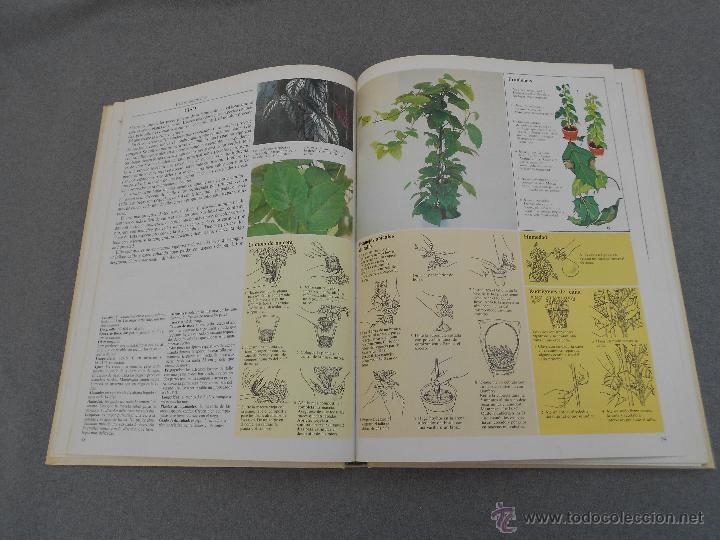 Libros de segunda mano: EL CUIDADO DE LAS PLANTAS DE INTERIOR - Foto 4