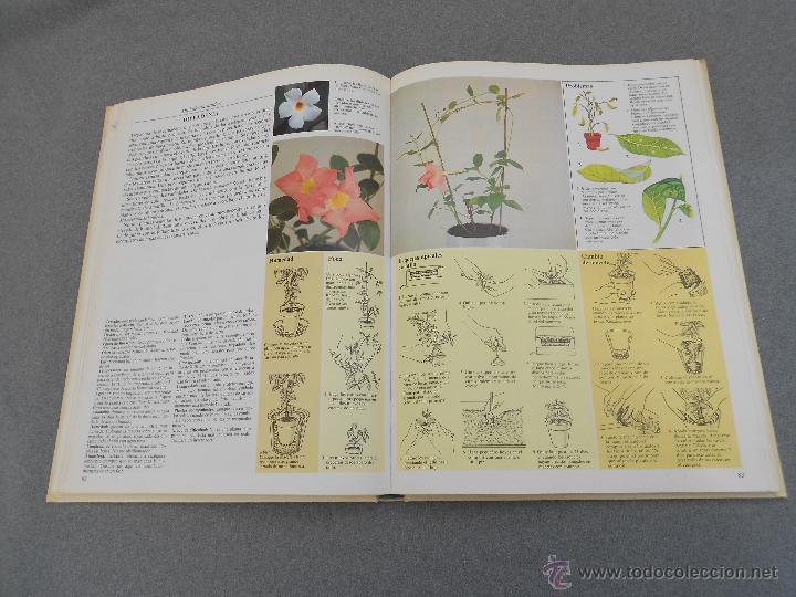 Libros de segunda mano: EL CUIDADO DE LAS PLANTAS DE INTERIOR - Foto 5