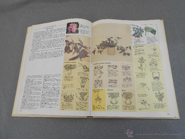 Libros de segunda mano: EL CUIDADO DE LAS PLANTAS DE INTERIOR - Foto 6