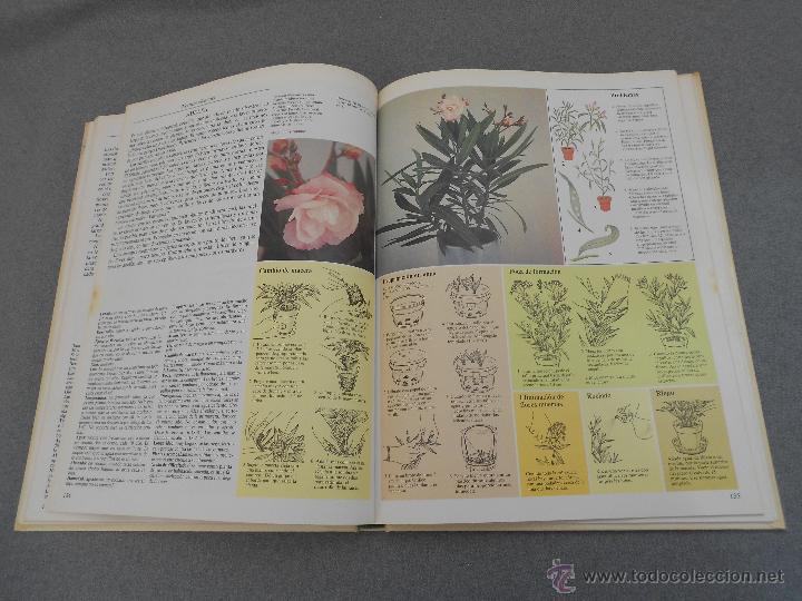 Libros de segunda mano: EL CUIDADO DE LAS PLANTAS DE INTERIOR - Foto 7