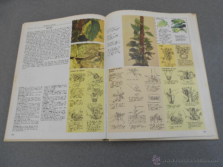 Libros de segunda mano: EL CUIDADO DE LAS PLANTAS DE INTERIOR - Foto 8