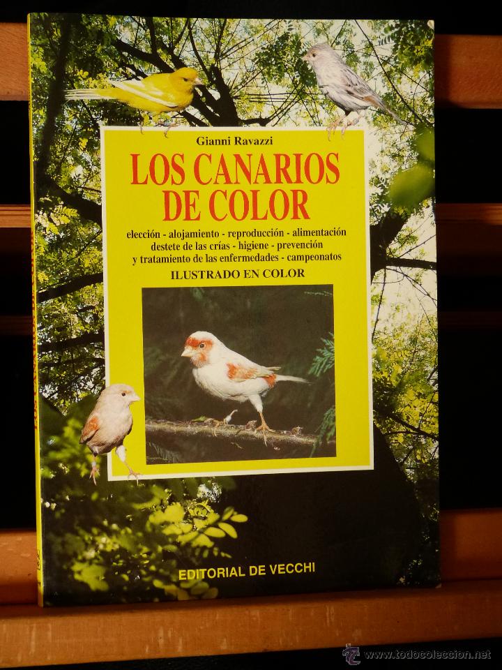 Libros de segunda mano: LOS CANARIOS DE COLOR - GIANNI RAVAZZI - Foto 1
