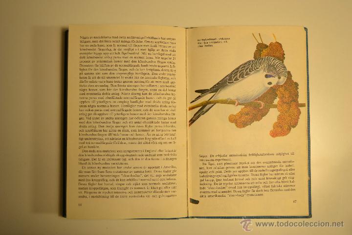 Libros de segunda mano: Undulater Libro de los Periquitos 1969 Cyril H. Rogers - Foto 2