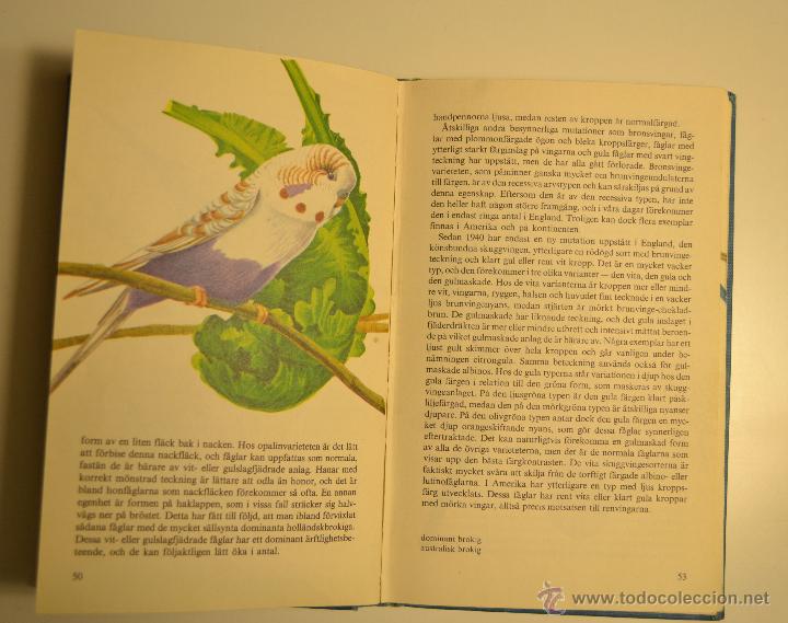 Libros de segunda mano: Undulater Libro de los Periquitos 1969 Cyril H. Rogers - Foto 3