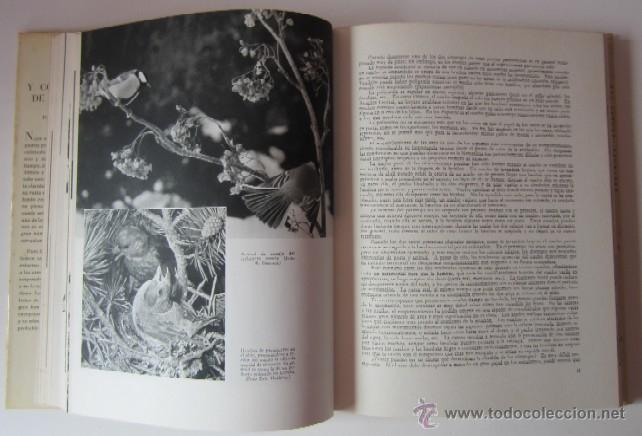 Libros de segunda mano: VIDA Y COSTUMBRES DE LAS AVES - Foto 4