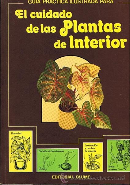 Libros de segunda mano: EL CUIDADO DE LAS PLANTAS DE INTERIOR  DAVID LONGMAN - Foto 1
