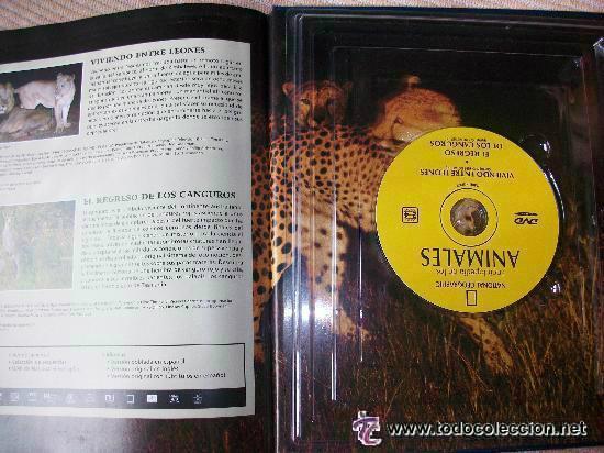 Libros de segunda mano: ANIMALES . MAMIFEROS I . CON DOCUMENTAL EN DVD . NATIONAL GEOGRAPHIC.. - Foto 2