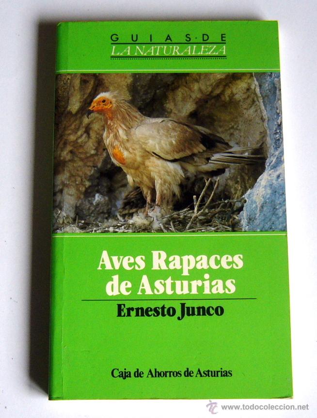 Libros de segunda mano: AVES RAPACES DE ASTURIAS - ERNESTO JUNCO - Foto 1