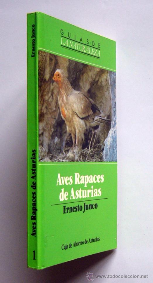 Libros de segunda mano: AVES RAPACES DE ASTURIAS - ERNESTO JUNCO - Foto 2