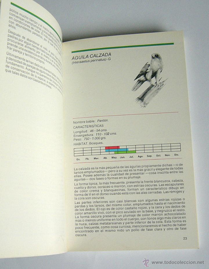 Libros de segunda mano: AVES RAPACES DE ASTURIAS - ERNESTO JUNCO - Foto 4