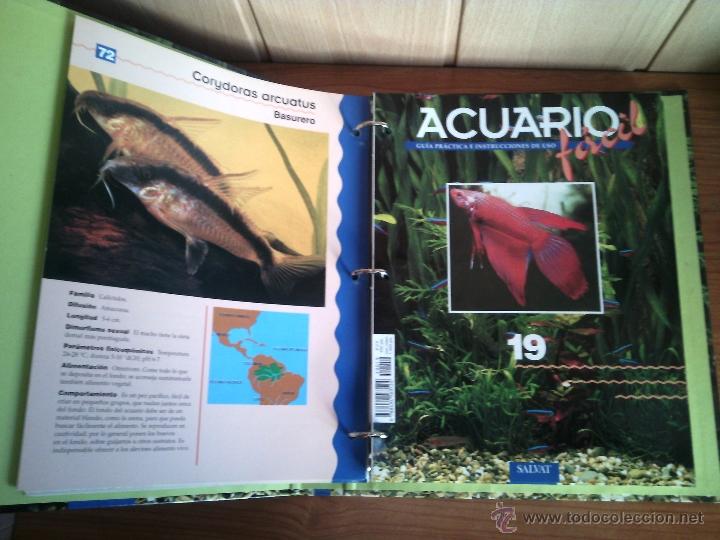 Libros de segunda mano: ACUARIO FACIL DE SALVAT - Foto 3