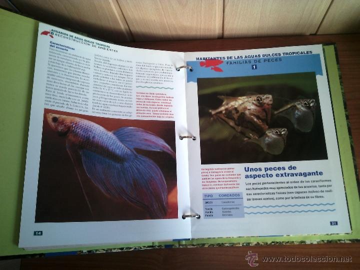 Libros de segunda mano: ACUARIO FACIL DE SALVAT - Foto 4