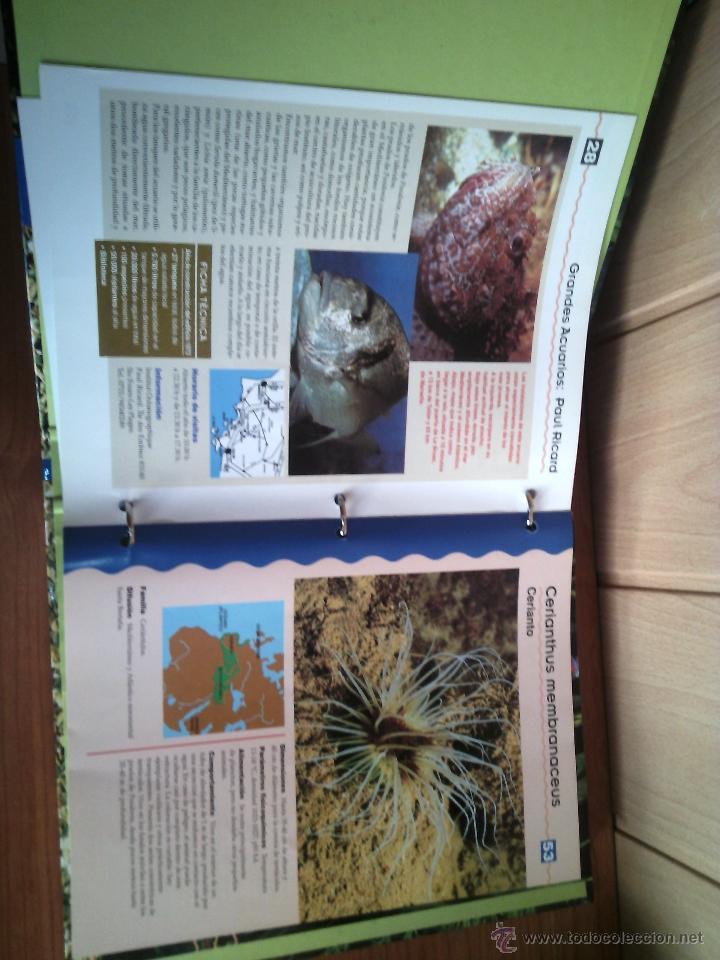 Libros de segunda mano: ACUARIO FACIL DE SALVAT - Foto 5