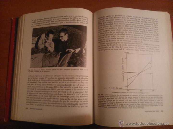 Libros de segunda mano: Gen&eacute;tica Molecular Gunther S. Stent. - Foto 5