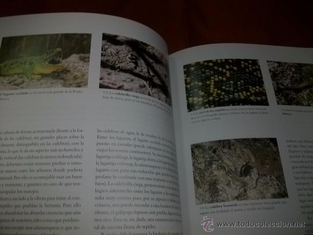 Libros de segunda mano: LA NATURALEZA EN LA SERRAN&Iacute;A DE RONDA - Foto 2