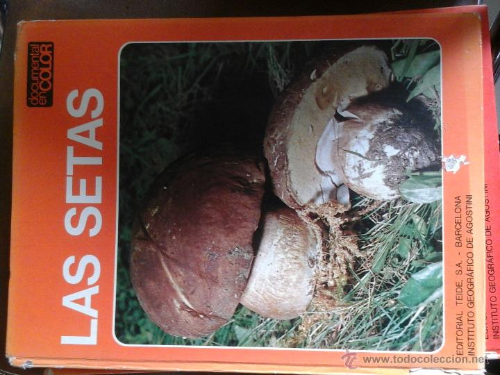 Libros de segunda mano: Las setas - Foto 3