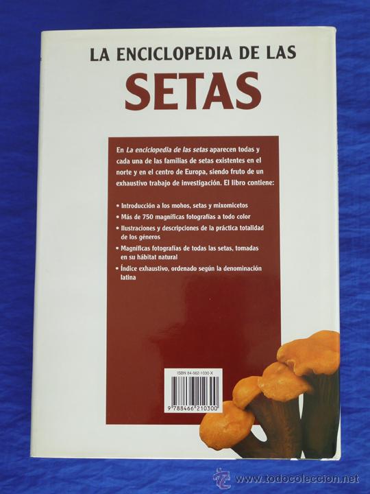 Libros de segunda mano: LA ENCICLOPEDIA DE LAS SETAS. GERRIT J. KEISER [KEIZER]. LIBSA, 2005, 2&ordf; Ed. - Foto 2