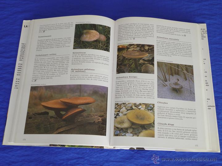 Libros de segunda mano: LA ENCICLOPEDIA DE LAS SETAS. GERRIT J. KEISER [KEIZER]. LIBSA, 2005, 2&ordf; Ed. - Foto 6