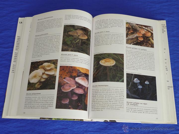 Libros de segunda mano: LA ENCICLOPEDIA DE LAS SETAS. GERRIT J. KEISER [KEIZER]. LIBSA, 2005, 2&ordf; Ed. - Foto 7