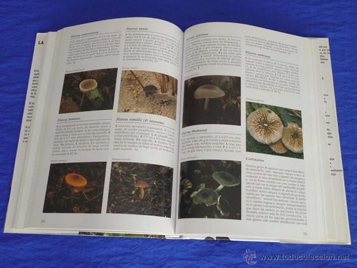 Libros de segunda mano: LA ENCICLOPEDIA DE LAS SETAS. GERRIT J. KEISER [KEIZER]. LIBSA, 2005, 2&ordf; Ed. - Foto 8