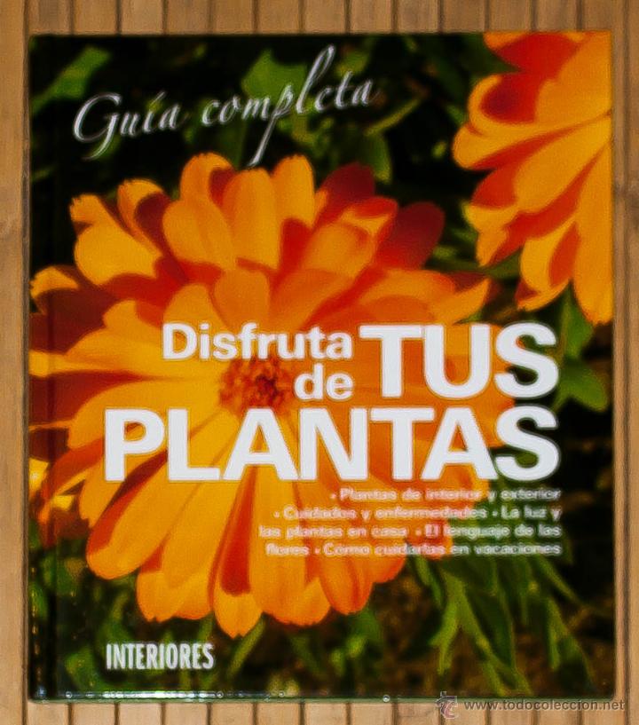 Libros de segunda mano: DISFRUTA DE TUS PLANTAS. 2007. - Foto 1