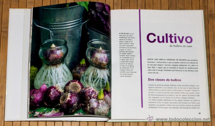 Libros de segunda mano: DISFRUTA DE TUS PLANTAS. 2007. - Foto 2