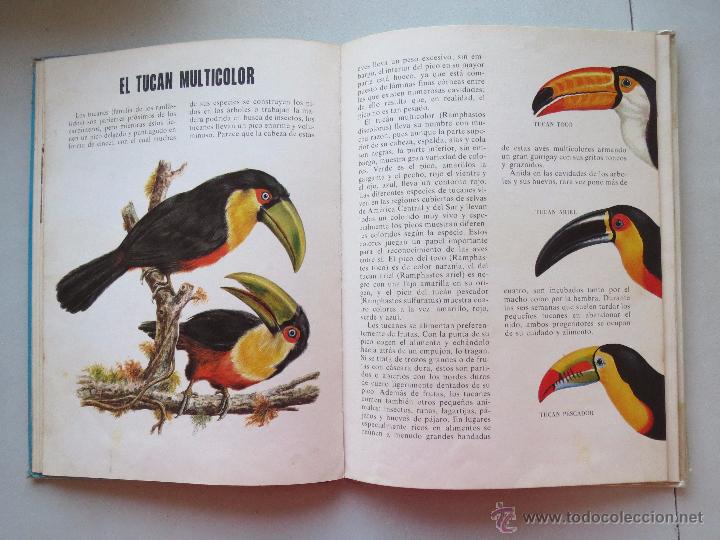 Libros de segunda mano: CONOCE LAS AVES Y LOS REPTILES - EDICIONES FHER 1971. - Foto 6