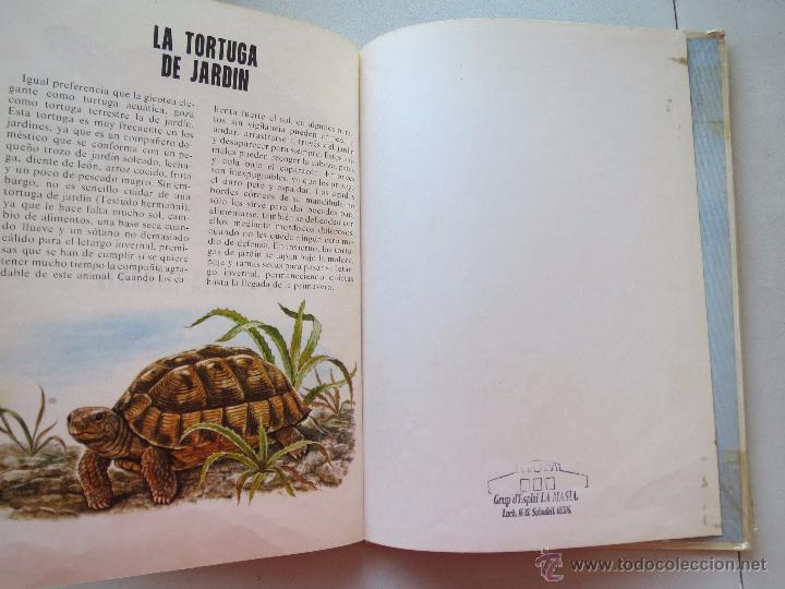 Libros de segunda mano: CONOCE LAS AVES Y LOS REPTILES - EDICIONES FHER 1971. - Foto 7