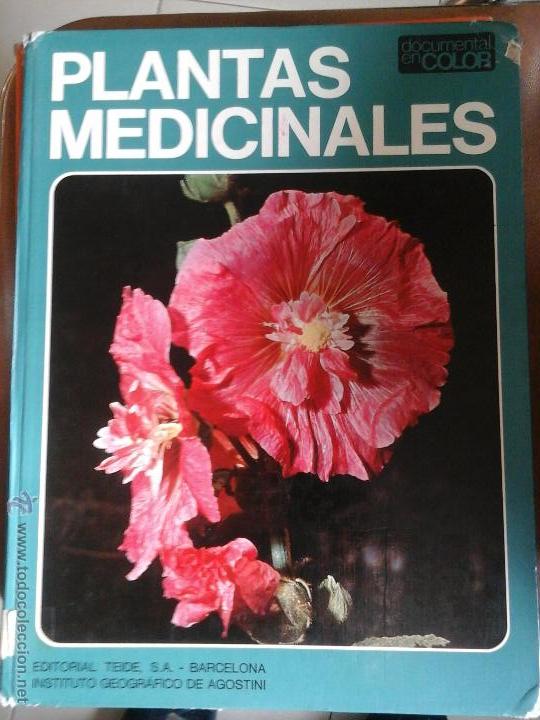 Libros de segunda mano: Plantas medicinales - Foto 1