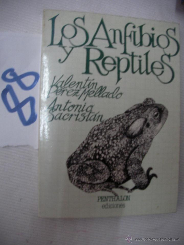 Libros de segunda mano: LOS ANFIBIOS Y REPTILES - PEREZ Y SACRISTAN - Foto 1