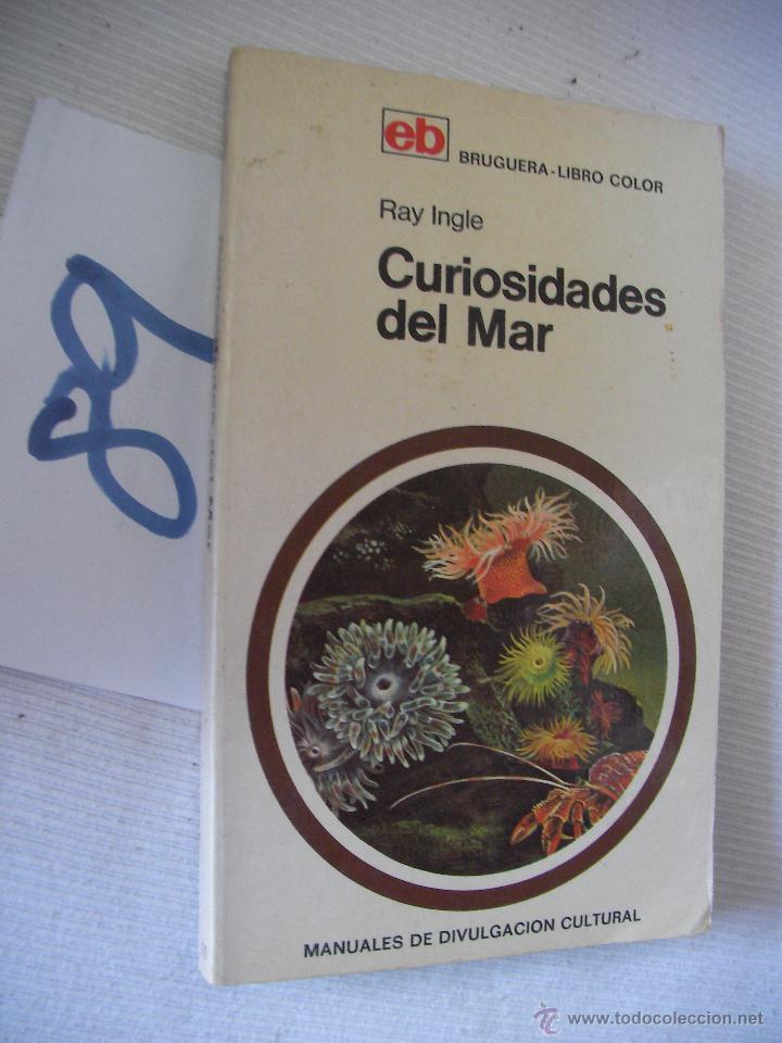 Libros de segunda mano: CURIOSIDADES DEL MAR - RAY INGLE - Foto 1