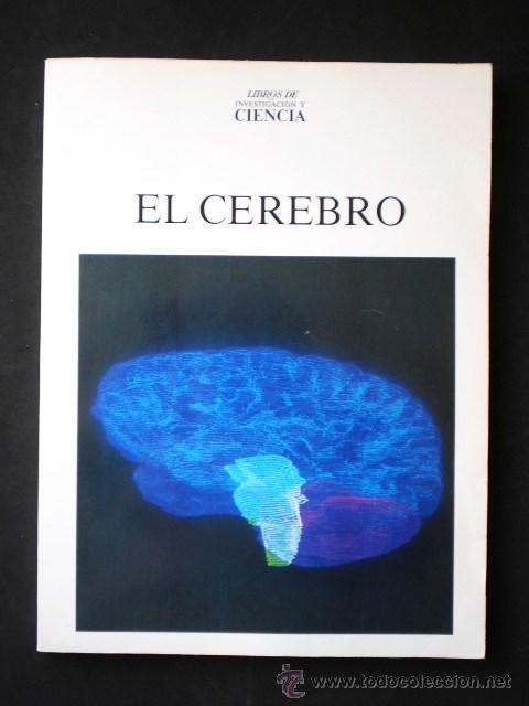 Libros de segunda mano: Diversos (Scientific American): El cerebro, Ed. Labor, 1983 - Foto 1
